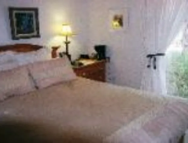 Dreydon House B&B hotel detail image 3