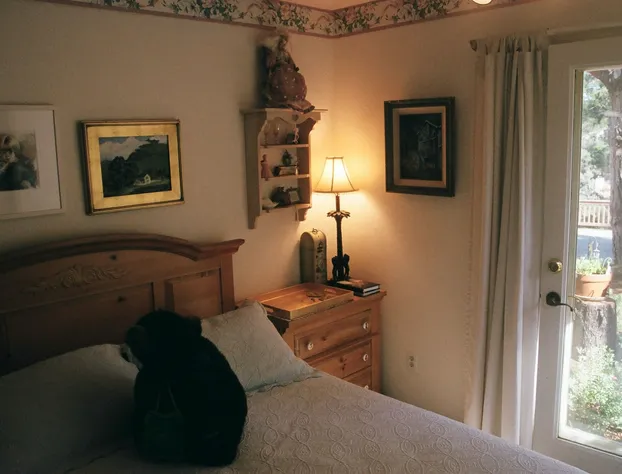 Dreydon House B&B hotel detail image 4