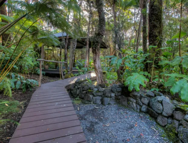 Volcano Mist Cottage hotel detail image 1