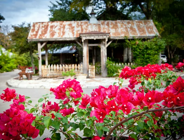 Gruene Mansion Inn hotel detail image 1