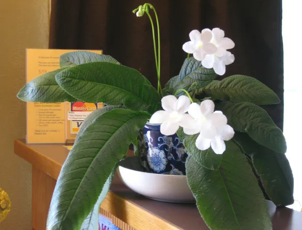 Masters Inn hotel detail image 3