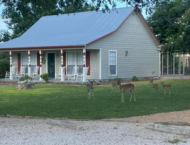Gruene Homestead Inn hotel detail image 4