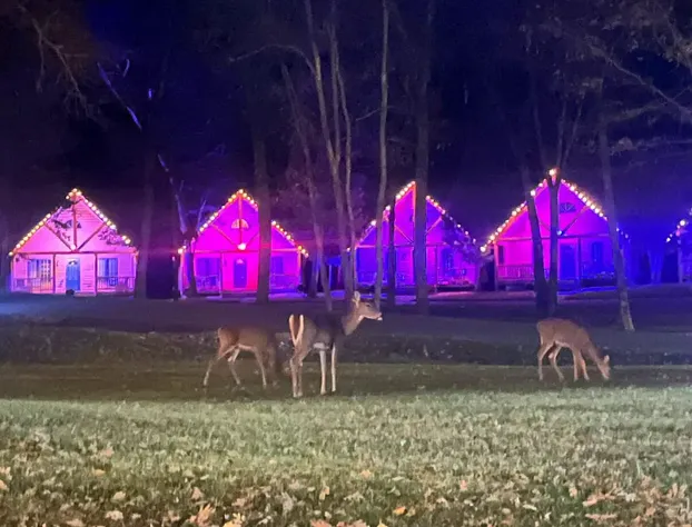 Cedar Lodge and Settlement hotel detail image 2