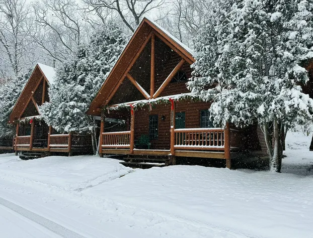 Cedar Lodge and Settlement hotel detail image 4