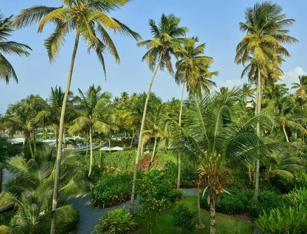 The St. Regis Bahia Beach Resort, Puerto Rico hotel detail image 3