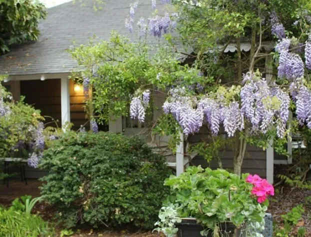 Hope and Glory Inn and Vineyard hotel detail image 2