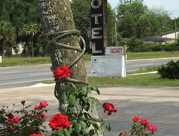 Skylark Motel hotel detail image 1