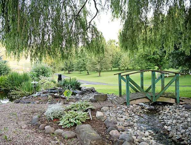 Berry Patch Bed and Breakfast hotel detail image 4