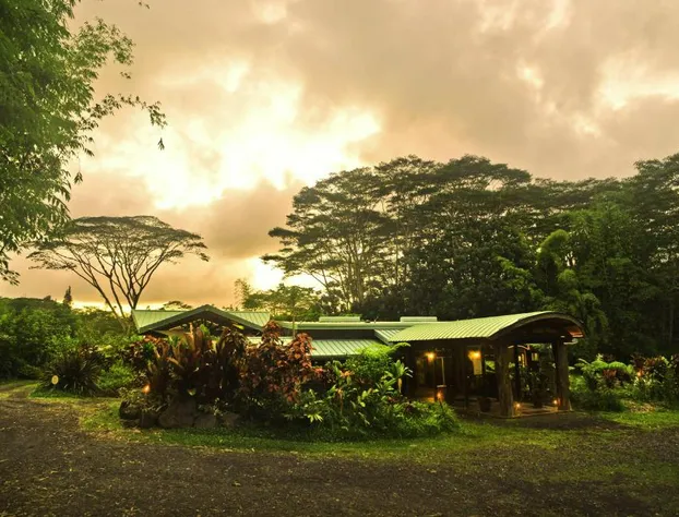 Hawaiian Sanctuary hotel detail image 1