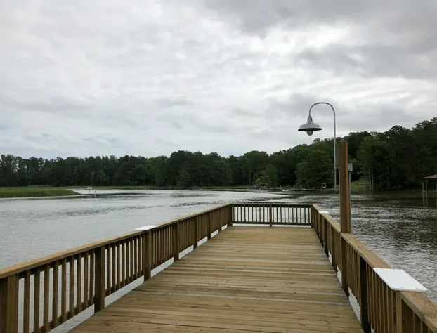 Surry Seafood Company hotel detail image 3