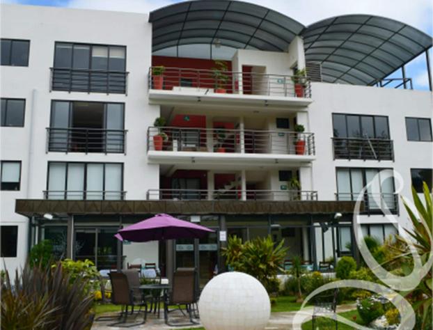 Hotel Suites Don Miguel hotel detail image 4