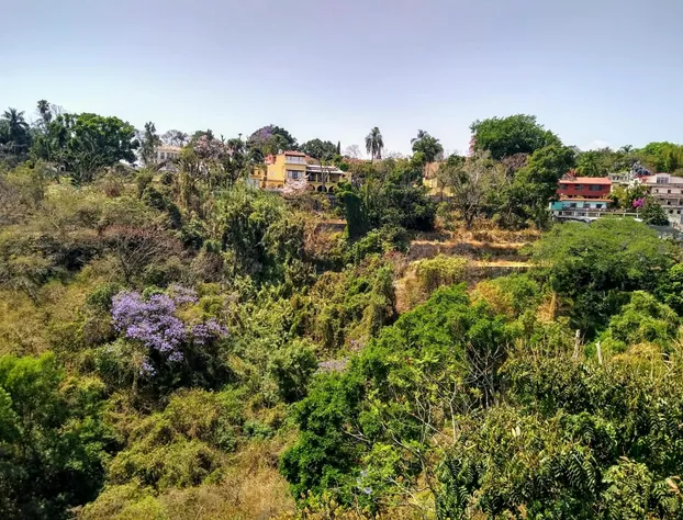 Hotel Real de Obregon hotel detail image 4