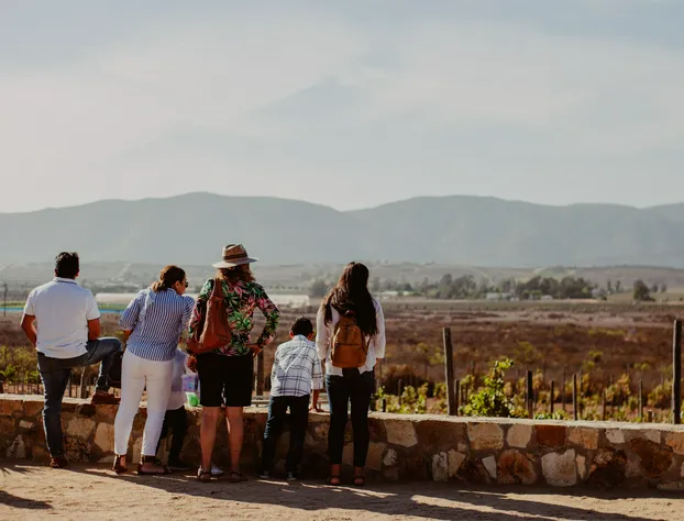 Vinos Xecué hotel detail image 3