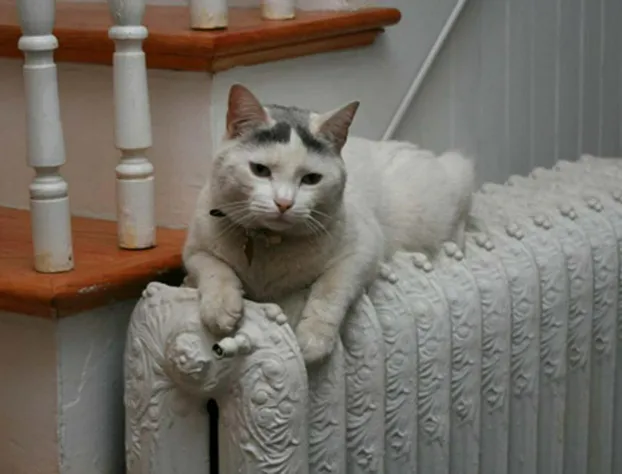 Morrison House hotel detail image 1