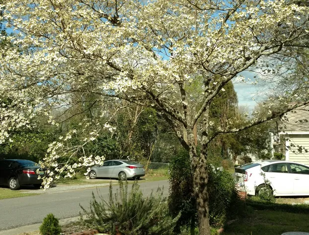 Baker Street Bed & Breakfast hotel detail image 4