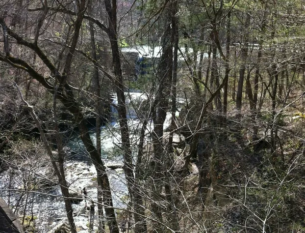 Ozark Country Inn hotel detail image 3