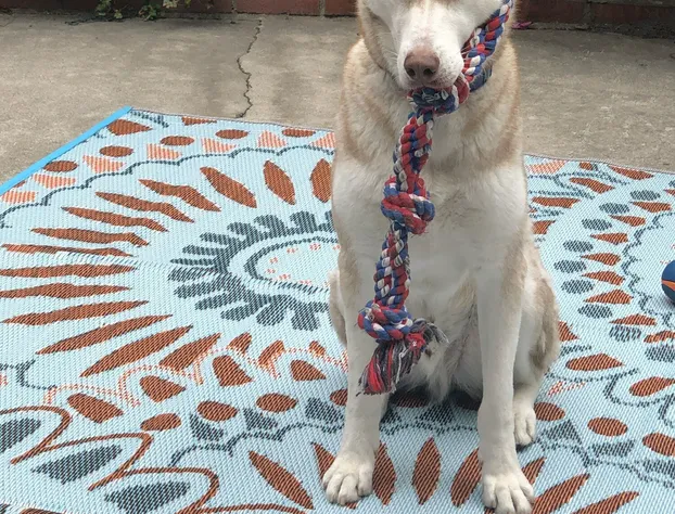 Life is Good Bed and Breakfast hotel detail image 1