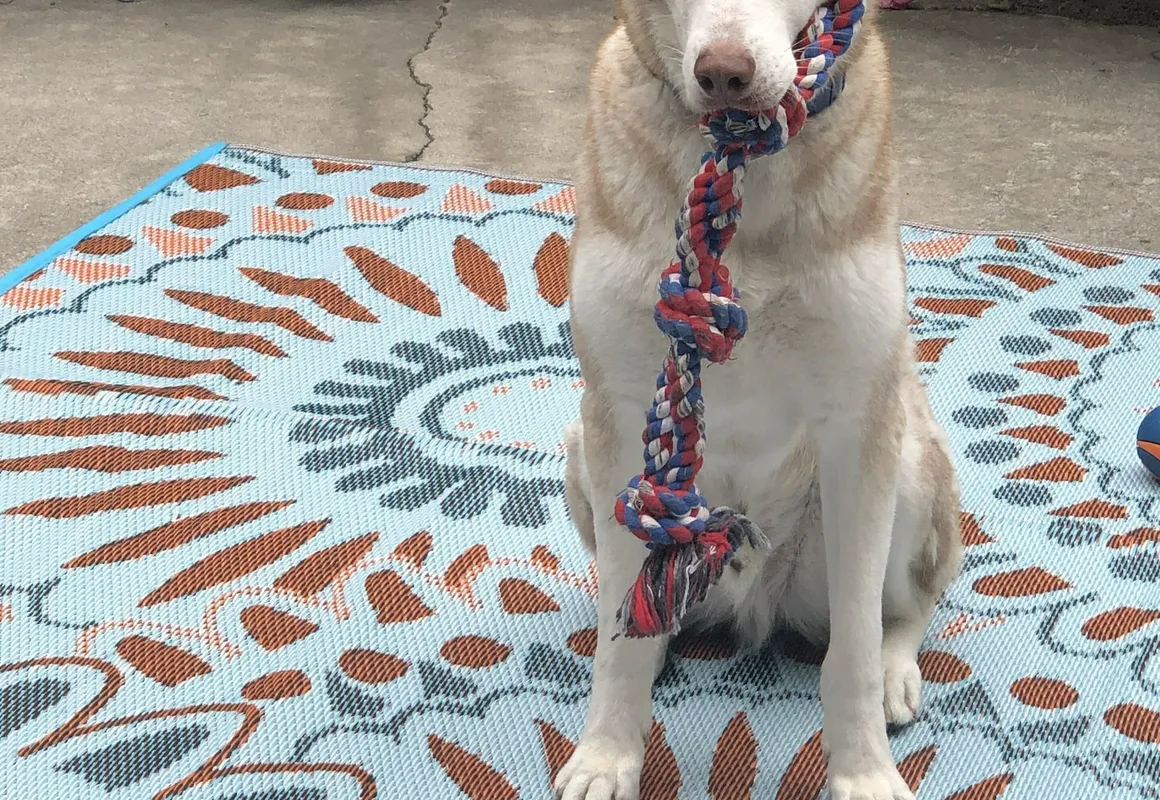 Life is Good Bed and Breakfast hotel hero