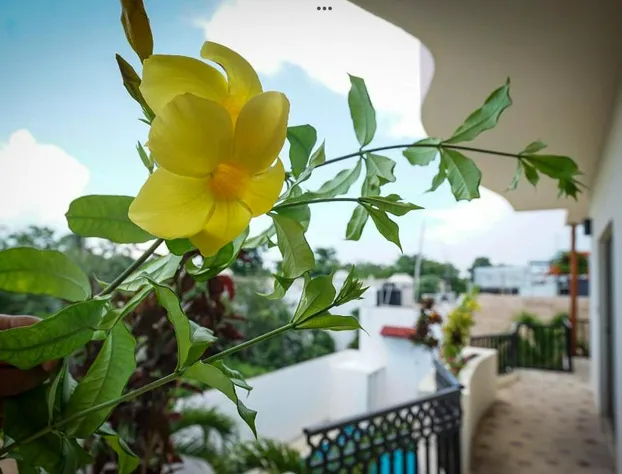 hotel stella maris tulum hotel detail image 4