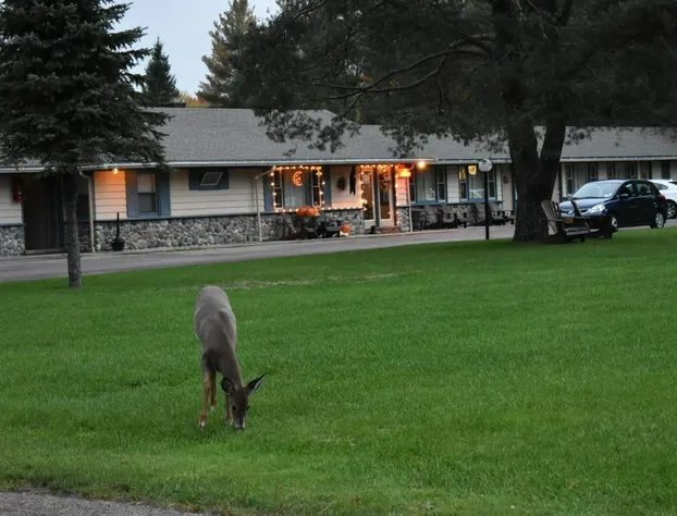 Country Club Motel hotel detail image 2