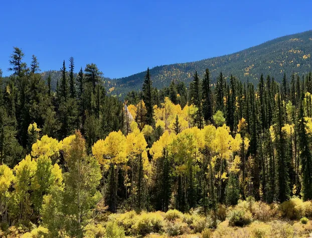 Bison Peak Lodge at Puma Hills hotel detail image 4