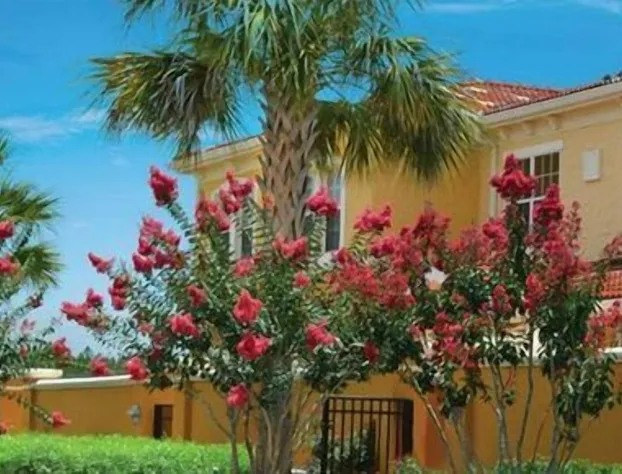 Courtyard Retreat hotel detail image 4