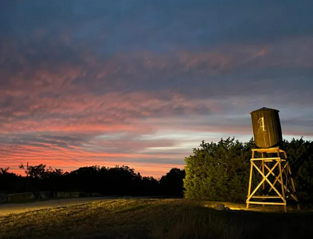 The Alexander at Creek Road hotel detail image 1