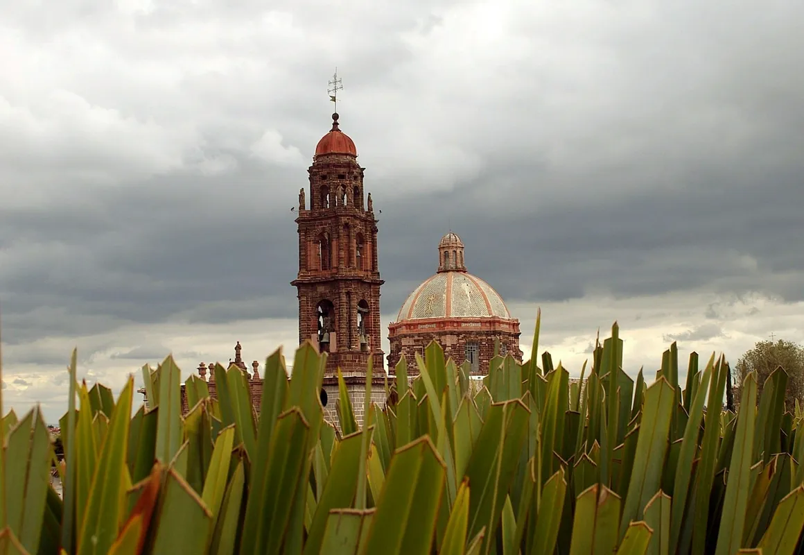 Casa de los Olivos hotel hero