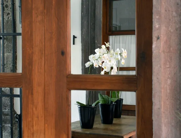 Casa de los Olivos hotel detail image 4