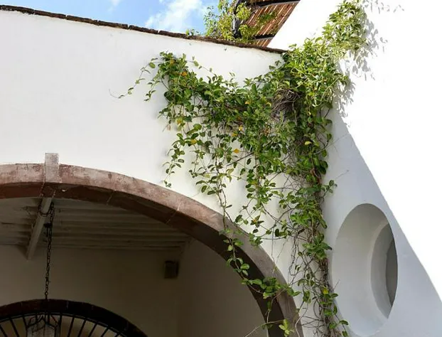Casa de los Olivos hotel detail image 1