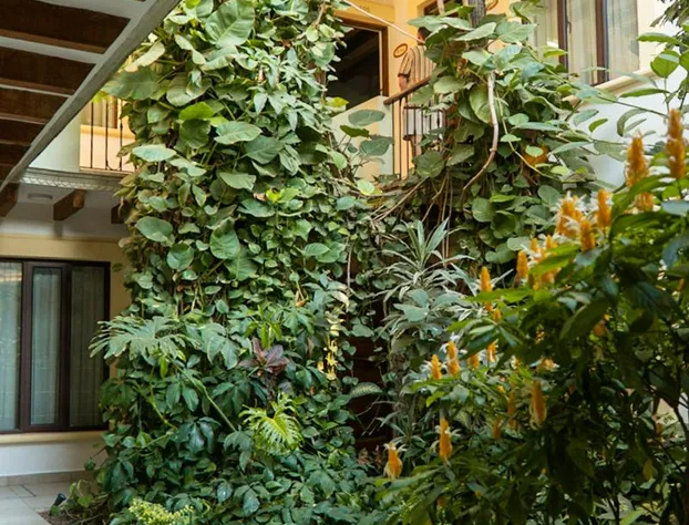 Casa Vertiz hotel detail image 2