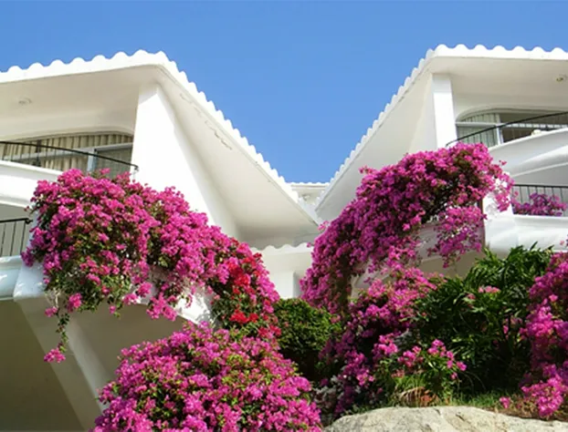 Dolphin Cove Inn hotel detail image 2