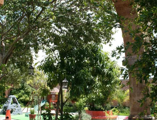 La Casa de los Patios Hotel & Spa hotel detail image 4