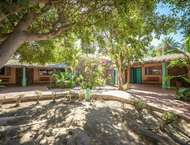 Hotel Oasis hotel detail image 1