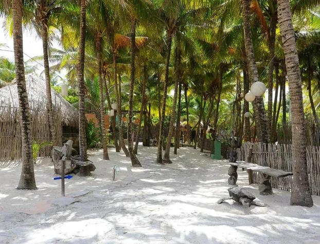 Zamas Hotel hotel detail image 1