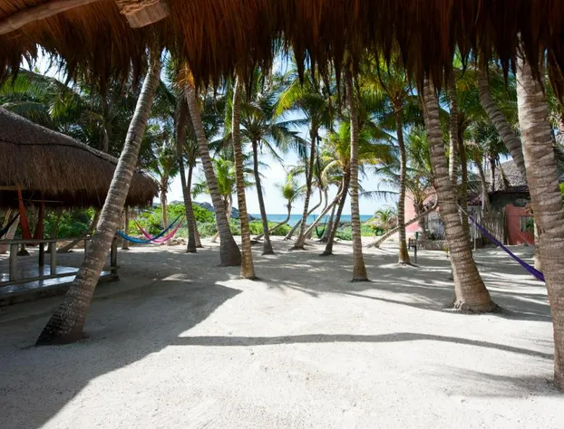 Zamas Hotel hotel detail image 3