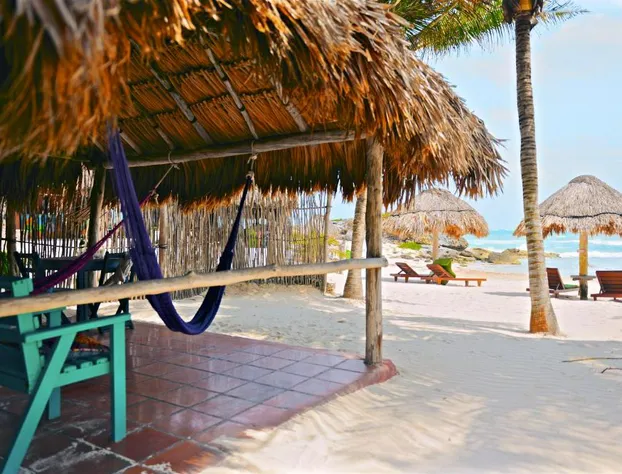 Zamas Hotel hotel detail image 4