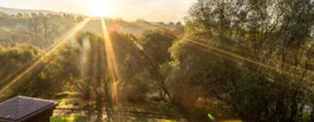 Inn the Woods Suites hotel detail image 4