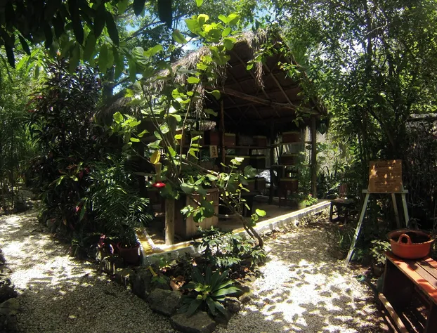 Casa Don Diego hotel detail image 3