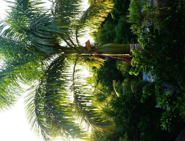 Casa Don Diego hotel detail image 4