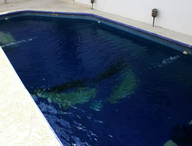 Hotel Almil hotel detail image 4