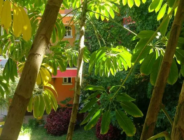 Hotel Posada Tolteca hotel detail image 4