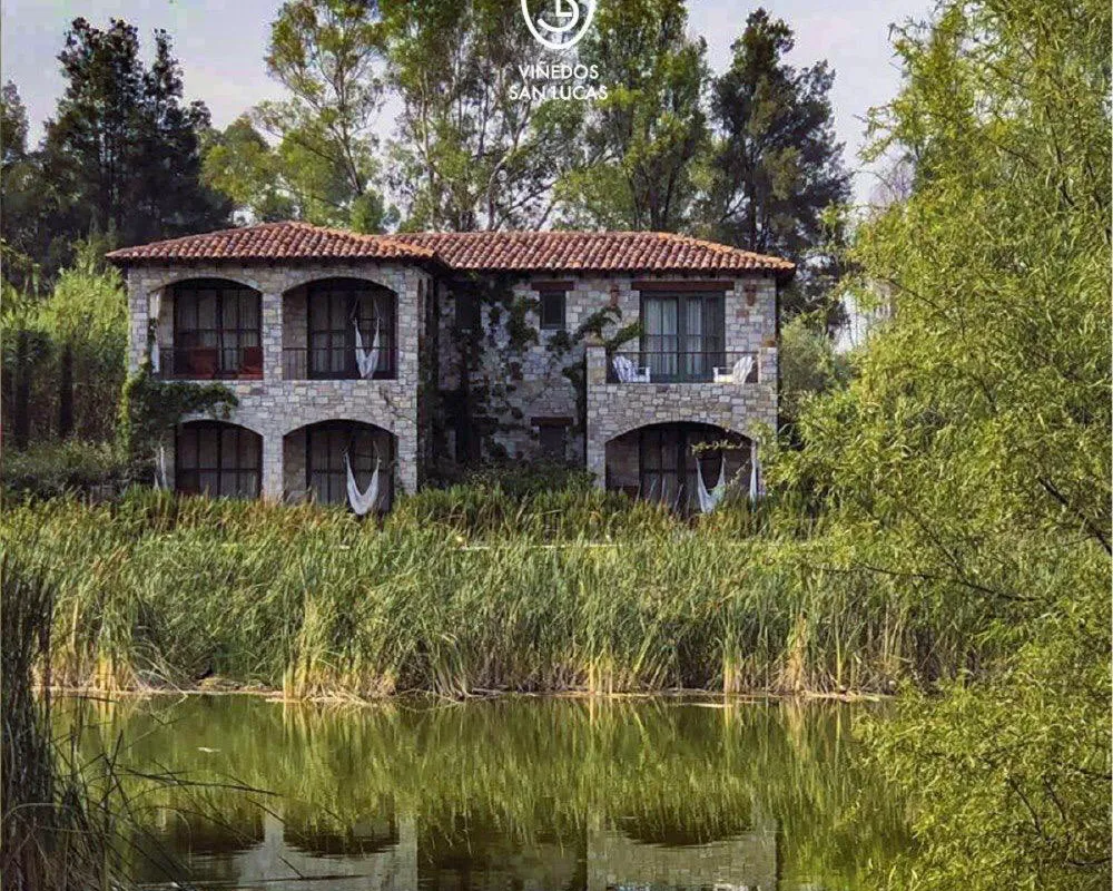 Hotel Viñedos San Lucas hotel hero