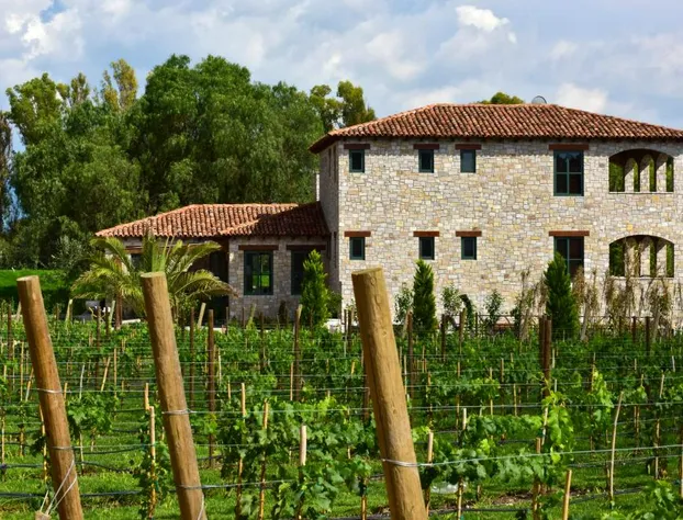 Hotel Viñedos San Lucas hotel detail image 3