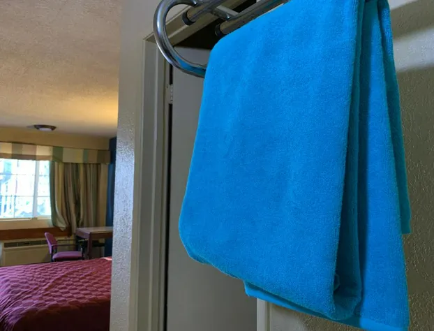 Tiki Lodge McHenry - Downtown Modesto hotel detail image 2