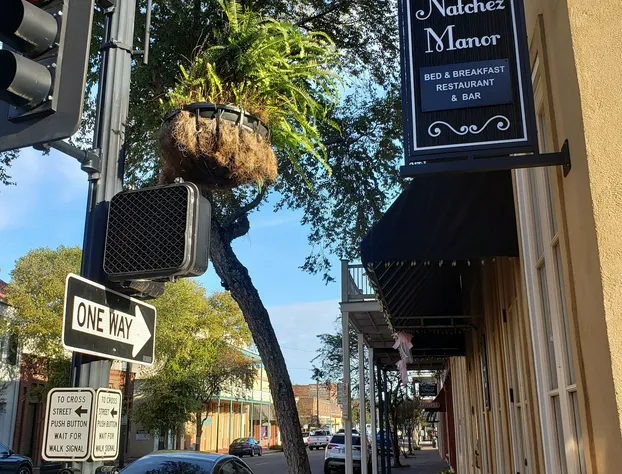 Natchez Manor Bed & Breakfast hotel detail image 2