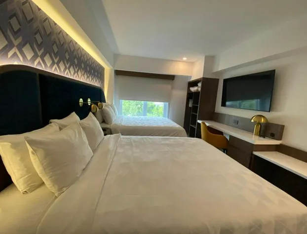 Holiday Inn Express Ciudad De Mexico Condesa by IHG hotel detail image 4