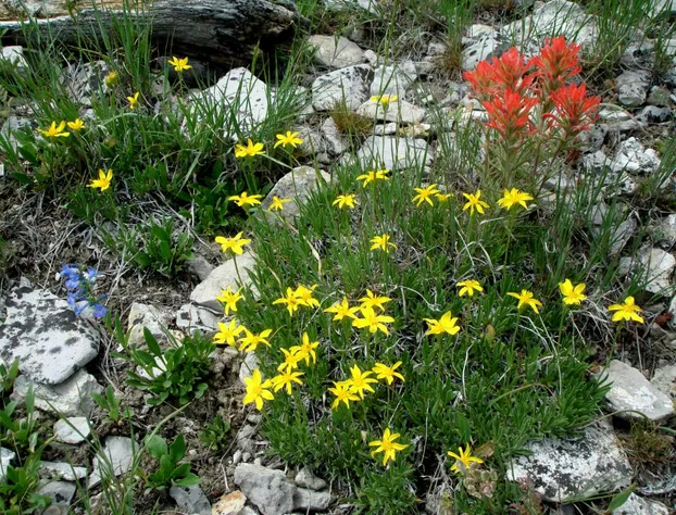 DK Motel hotel detail image 2