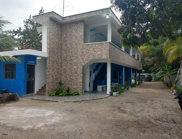 Blue Hotel hotel detail image 4