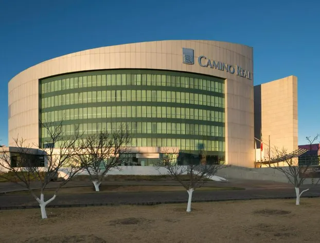 Camino Real Pachuca hotel detail image 3